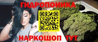 крисы Комсомольск-на-Амуре