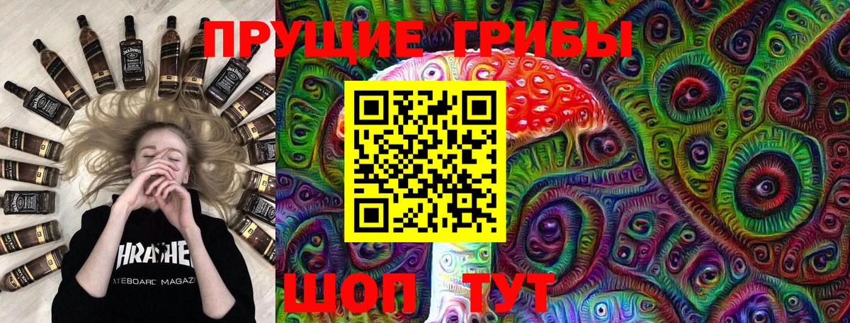 Псилоцибиновые грибы Psilocybine cubensis  Вход с VPN  Псилоцибиновые грибы прущие грибы  Каменск-Уральский 